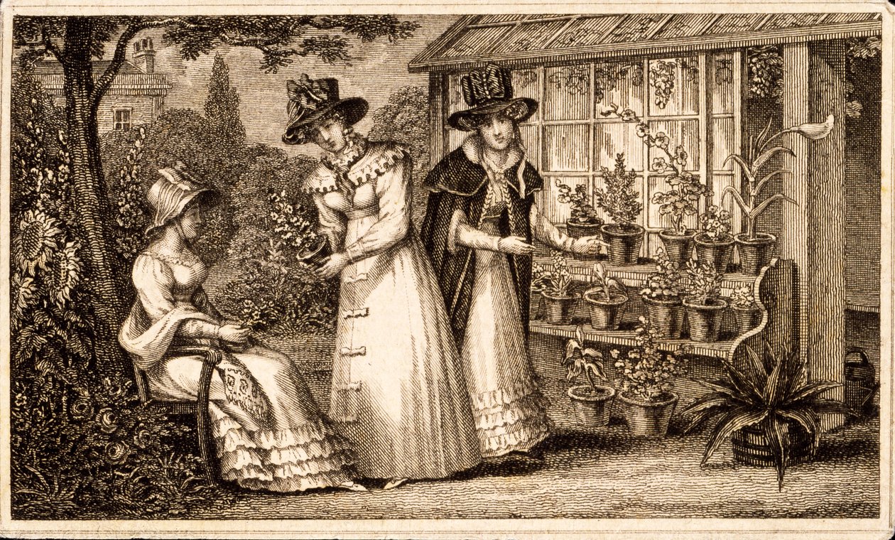 三个女士园艺由盆栽棚1820年代 作者 英语学校