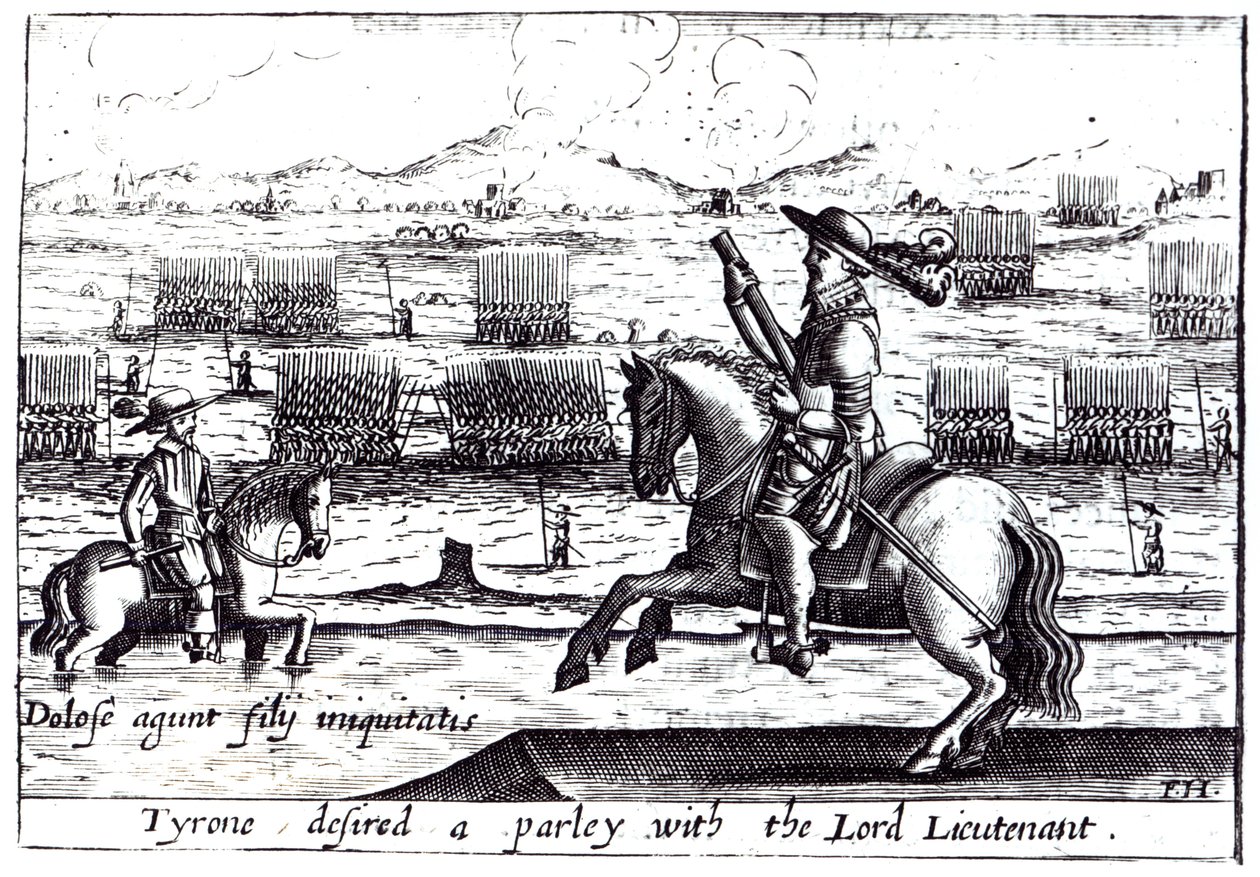 Tyrone希望在1601年与Kinsale的Lord Lieutenant一起成为一个Parley 作者 英语学校