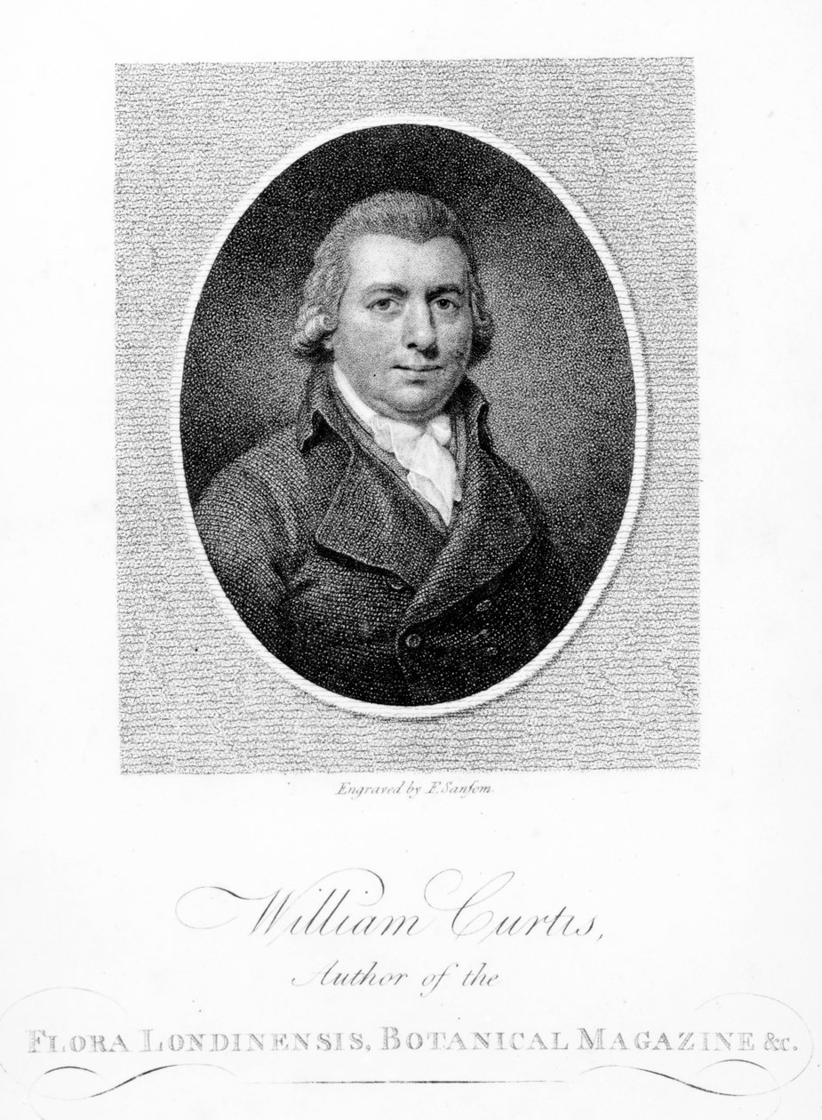 William Curtis，由F. Sansom雕刻，1790年 作者 英语学校