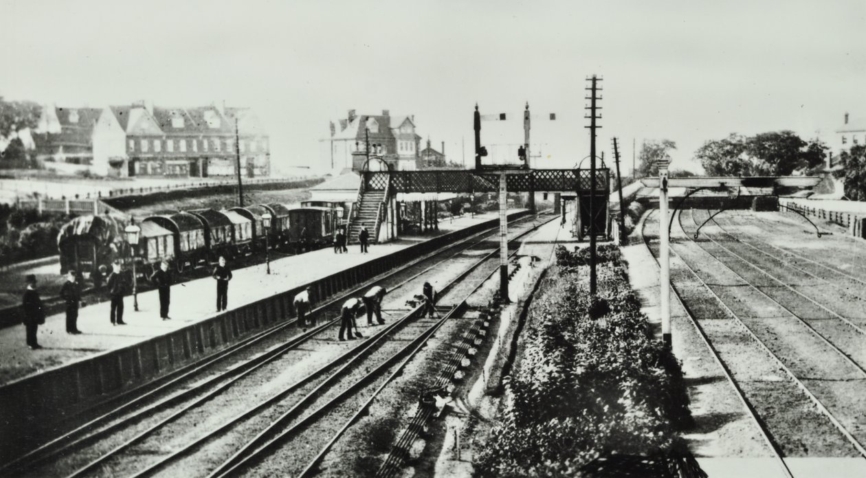 格罗夫公园站：外观和平台，1888年 作者 英国摄影师