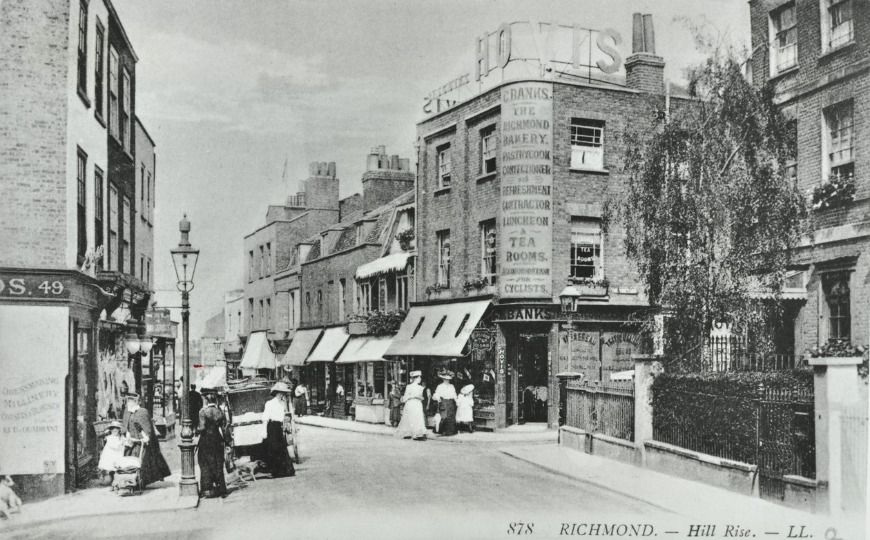 Hill Rise，Richmond：一般观点，1895年 作者 英国摄影师