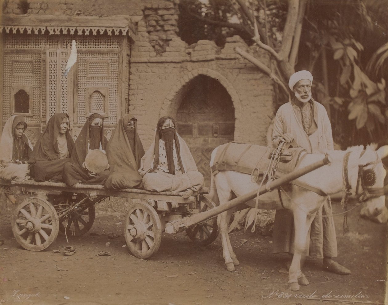 马车，开罗，1893年 作者 英国摄影师