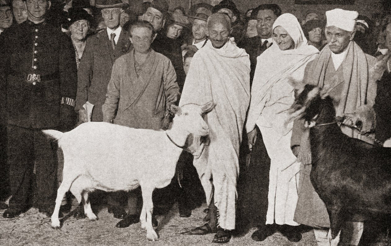 圣雄甘地于1931年与他的弟子马德琳斯莱德和他的两只山羊一起抵达英国伦敦，这是1935年出版的“二十五年的故事” 作者 英国摄影师