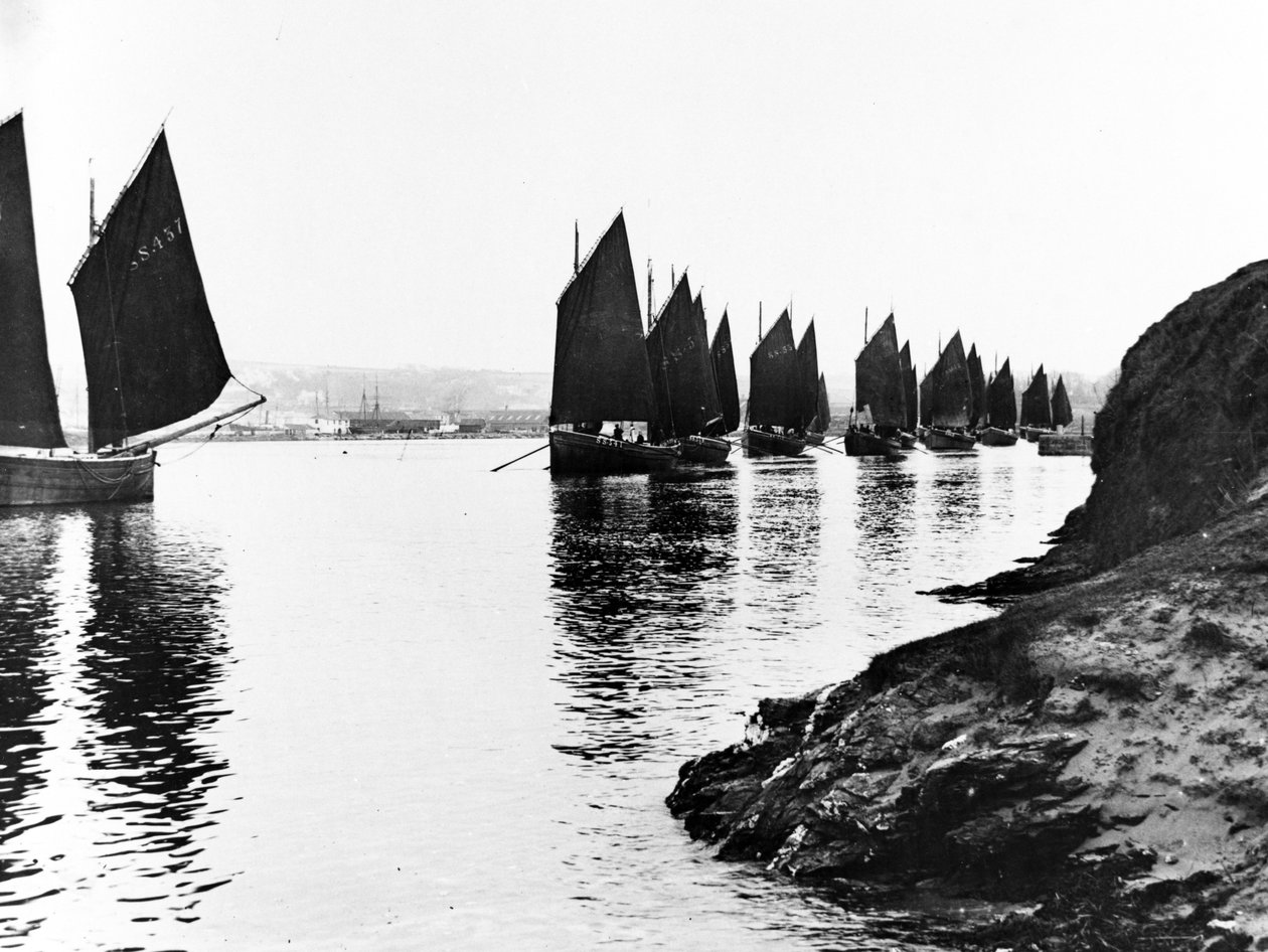 Regatta，Hayle Estuary，1890 作者 英国摄影师