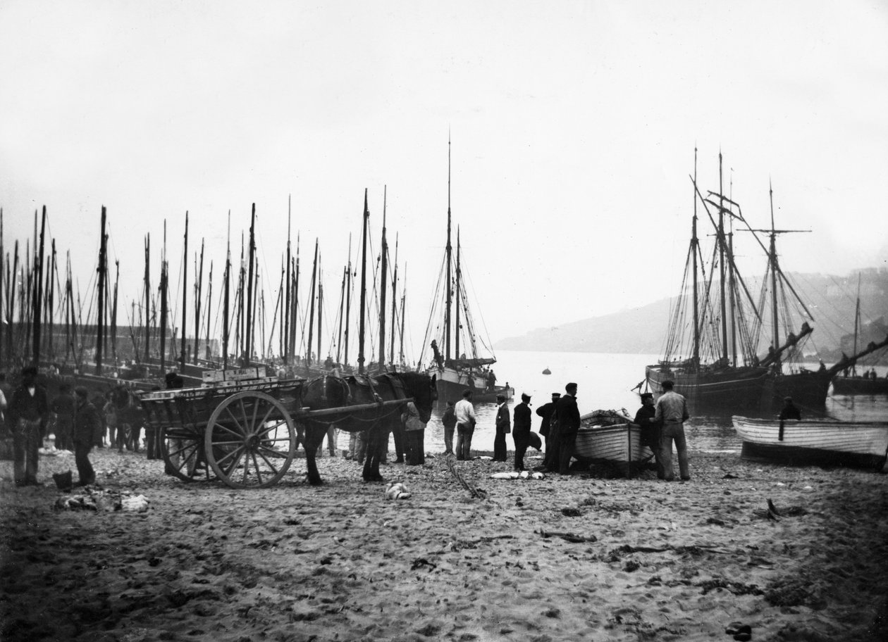 圣艾夫斯港望向卡比斯湾，1880-99 作者 英国摄影师