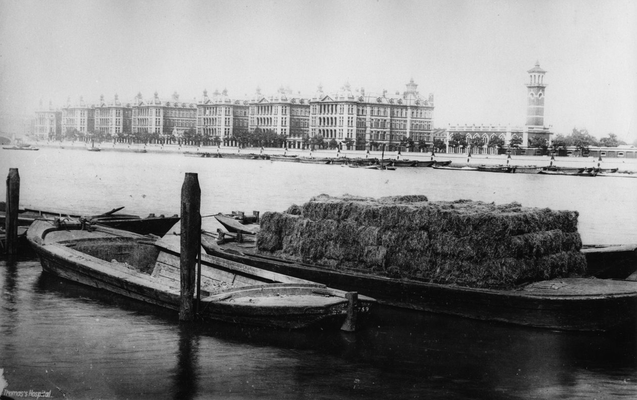 阿尔伯特堤防圣托马斯医院，19世纪晚期 作者 英国摄影师