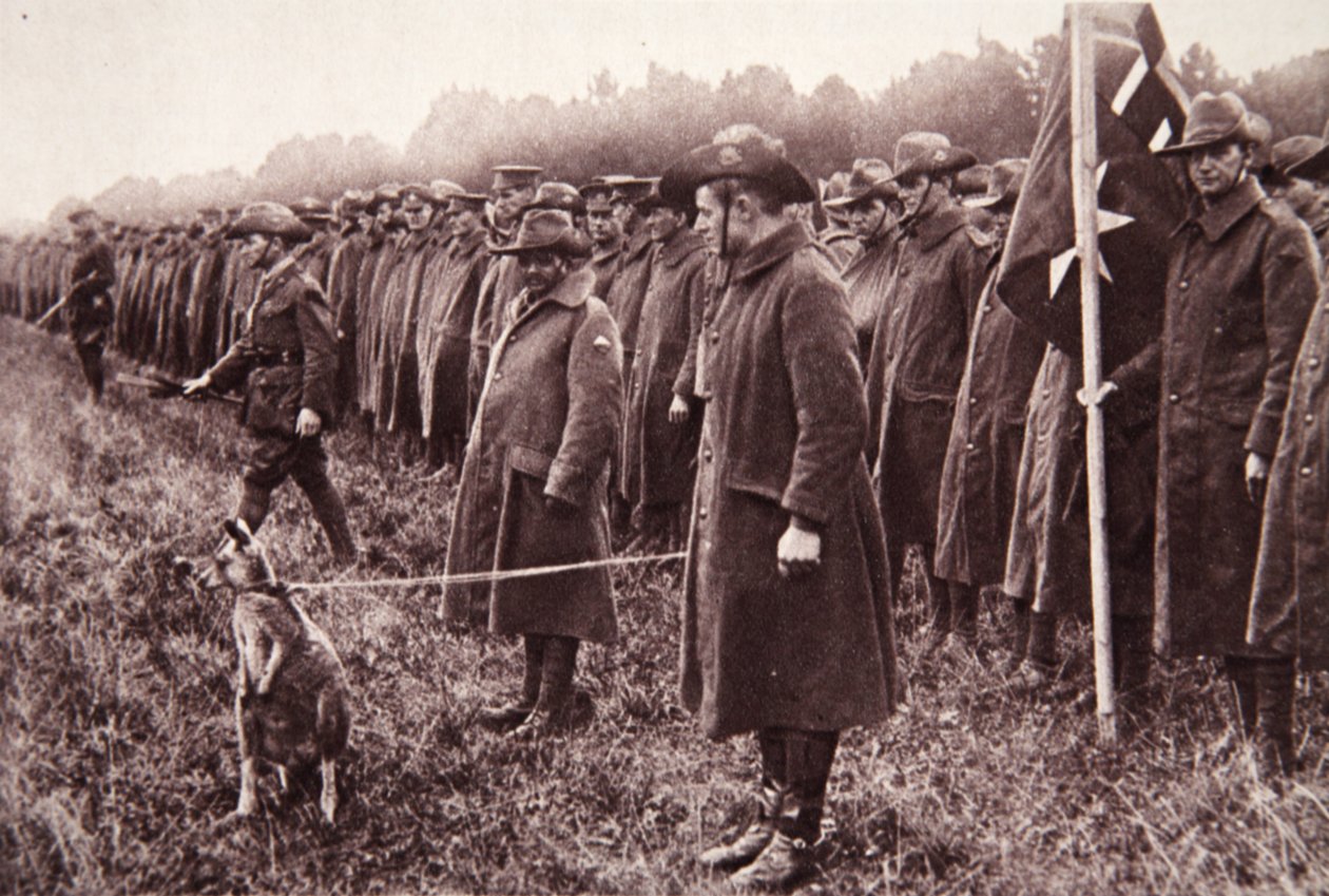 索尔兹伯里平原上的澳新军团评论：澳大利亚吉祥物，1916年9月27日“插图战争新闻”中的插图（棕褐色照片） 作者 英国摄影师