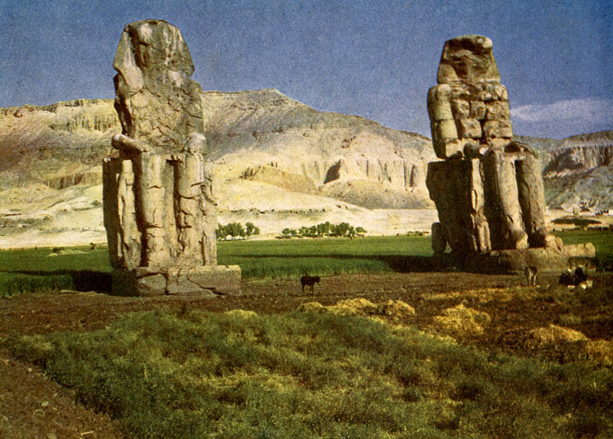 The Colossi of Memnon, near Thebes, Egypt. 作者 英国摄影师