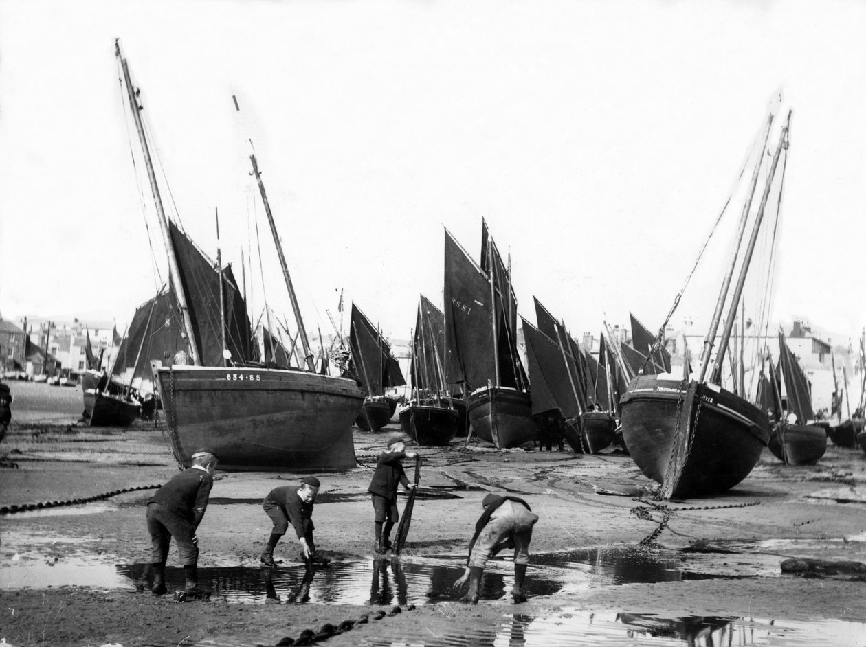圣艾夫斯港的渔船队，1880  -  99年 作者 英国摄影师