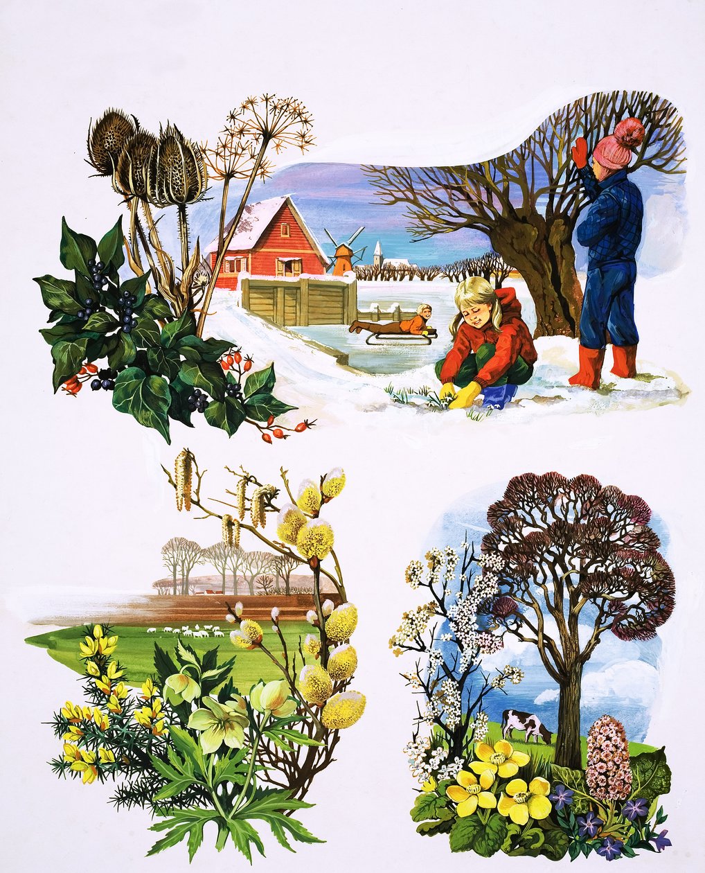 植物日历》，插图选自《很久很久以前 作者 英语学校
