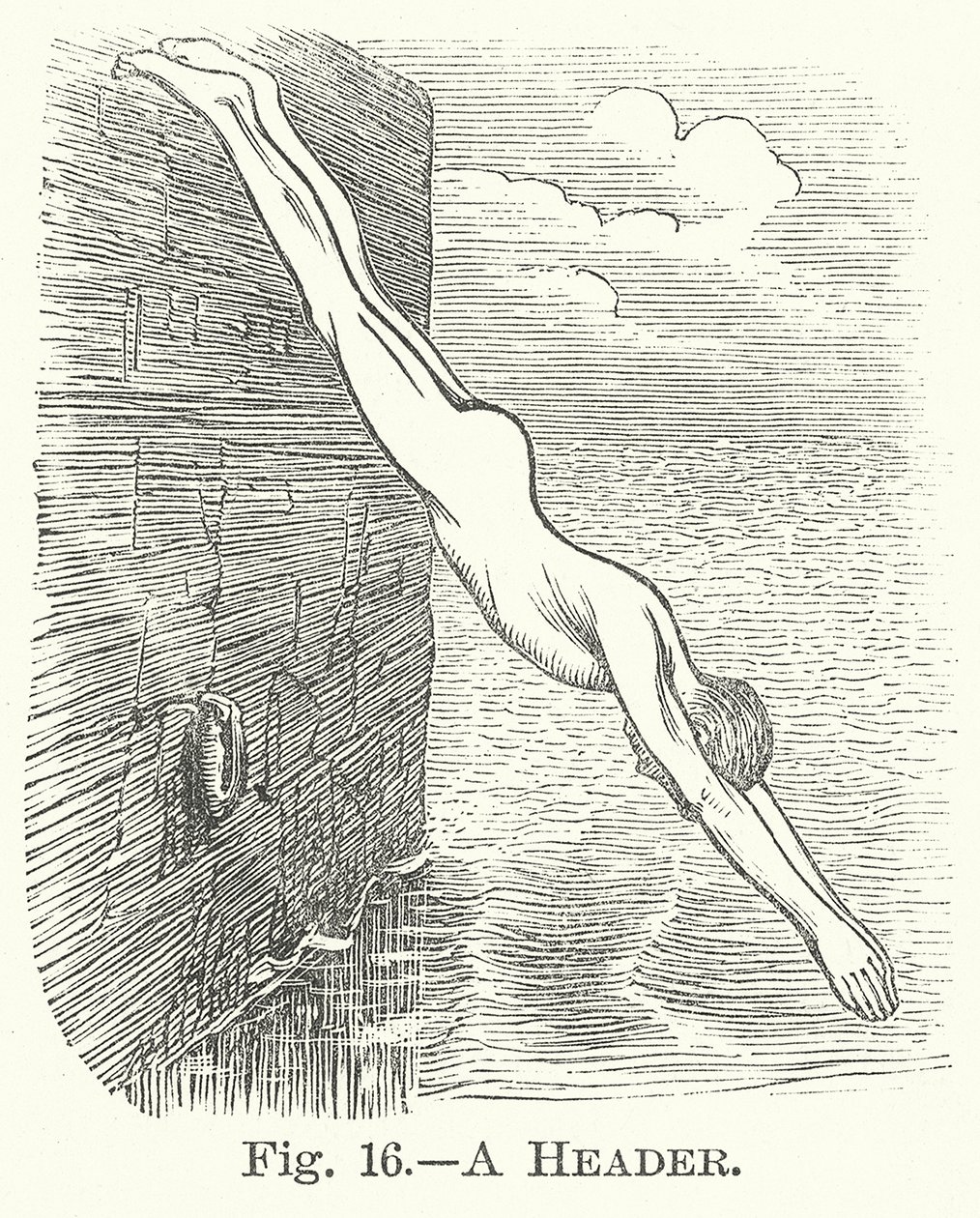 页眉（雕刻） 作者 英语学校