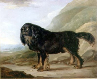 景观中的查尔斯王猎犬 作者 英语学校