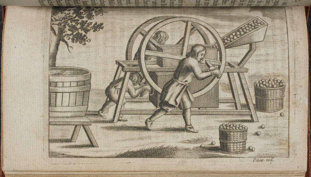压榨水果的机器，《Vinetum Britannicum》或《A Treatise of Cyder》中的插图 作者 英语学校