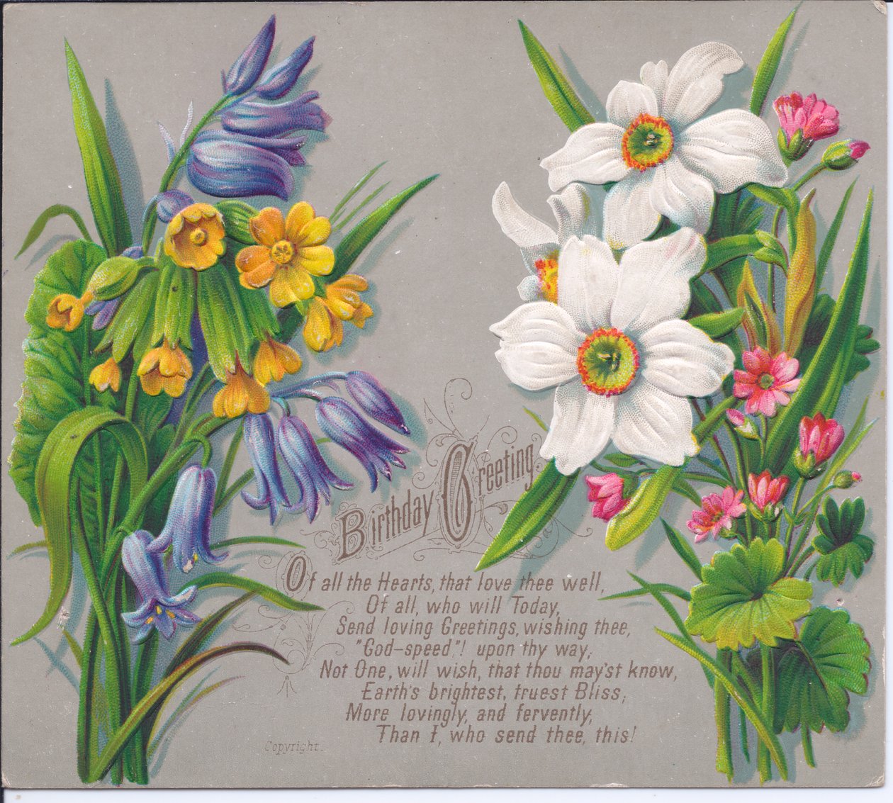 维多利亚女王时代的生日贺卡，水仙花和风铃草喷雾，约1880年 作者 英语学校