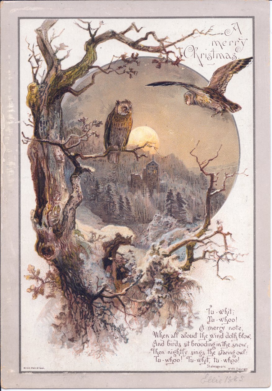 维多利亚时代的圣诞卡，月夜里一只猫头鹰栖息在树枝上，约1880年（彩色平印）。 作者 英语学校