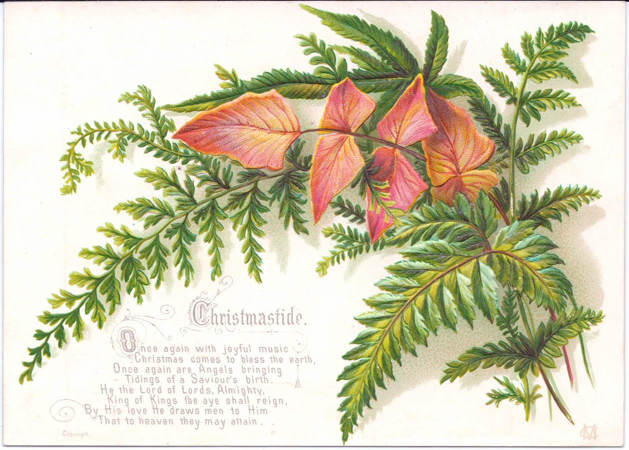 一张带有蕨类植物的维多利亚女王时代的圣诞贺卡，约1880年 作者 英语学校