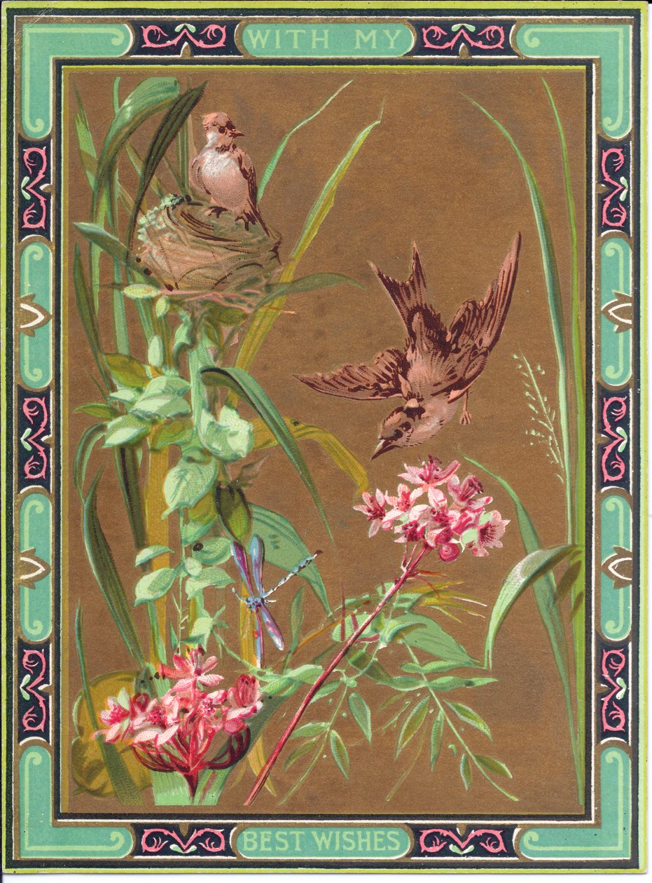 追逐蜻蜓和鸟在巢上的鸟的维多利亚时代贺卡，约1880年 作者 英语学校