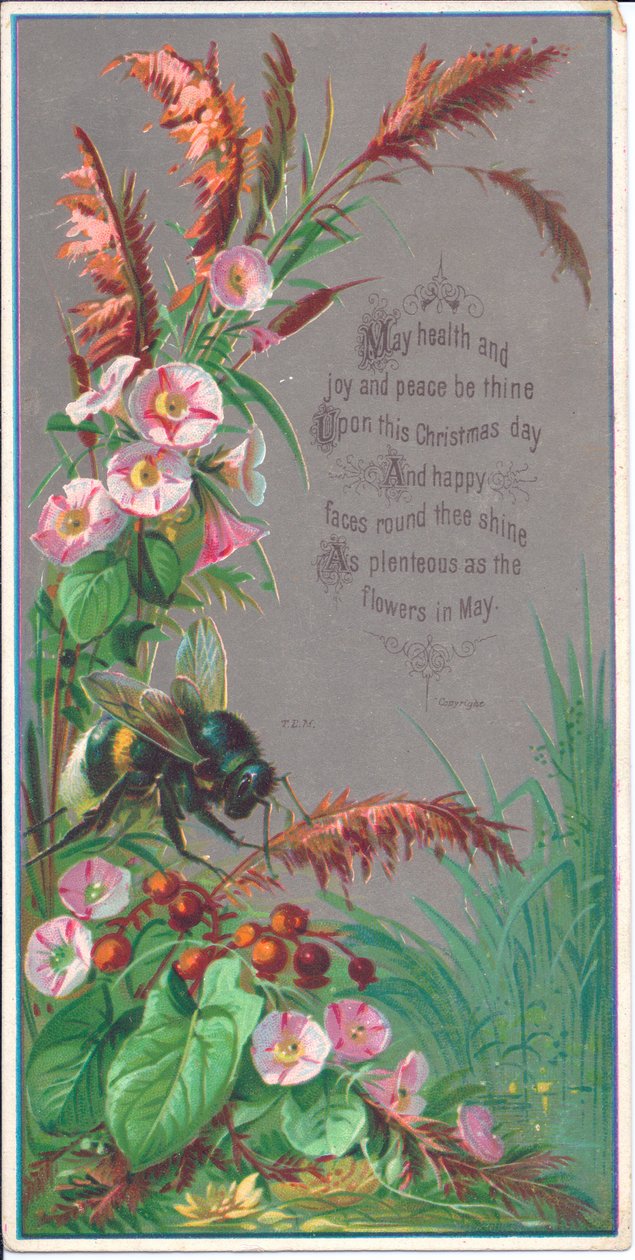 大约在1880年，一只蜜蜂在花上徘徊的维多利亚新年贺卡 作者 英语学校