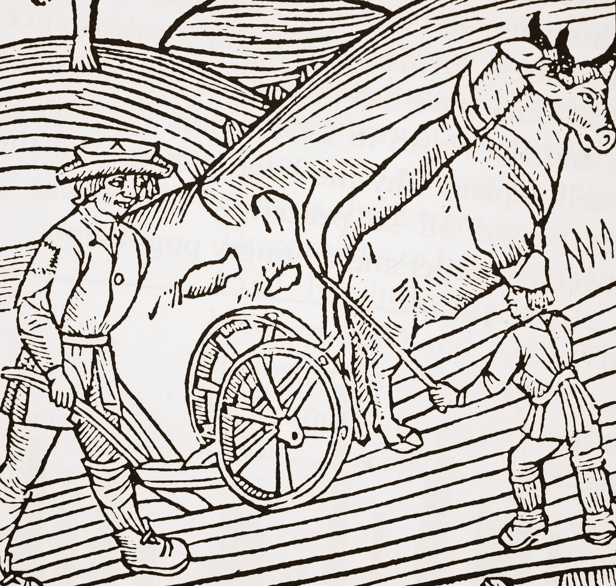 一对牛与一个犁，一个犁，来自John Fitzherberts Boke of Husbandry，第一家酒吧。 1523 作者 英语学校