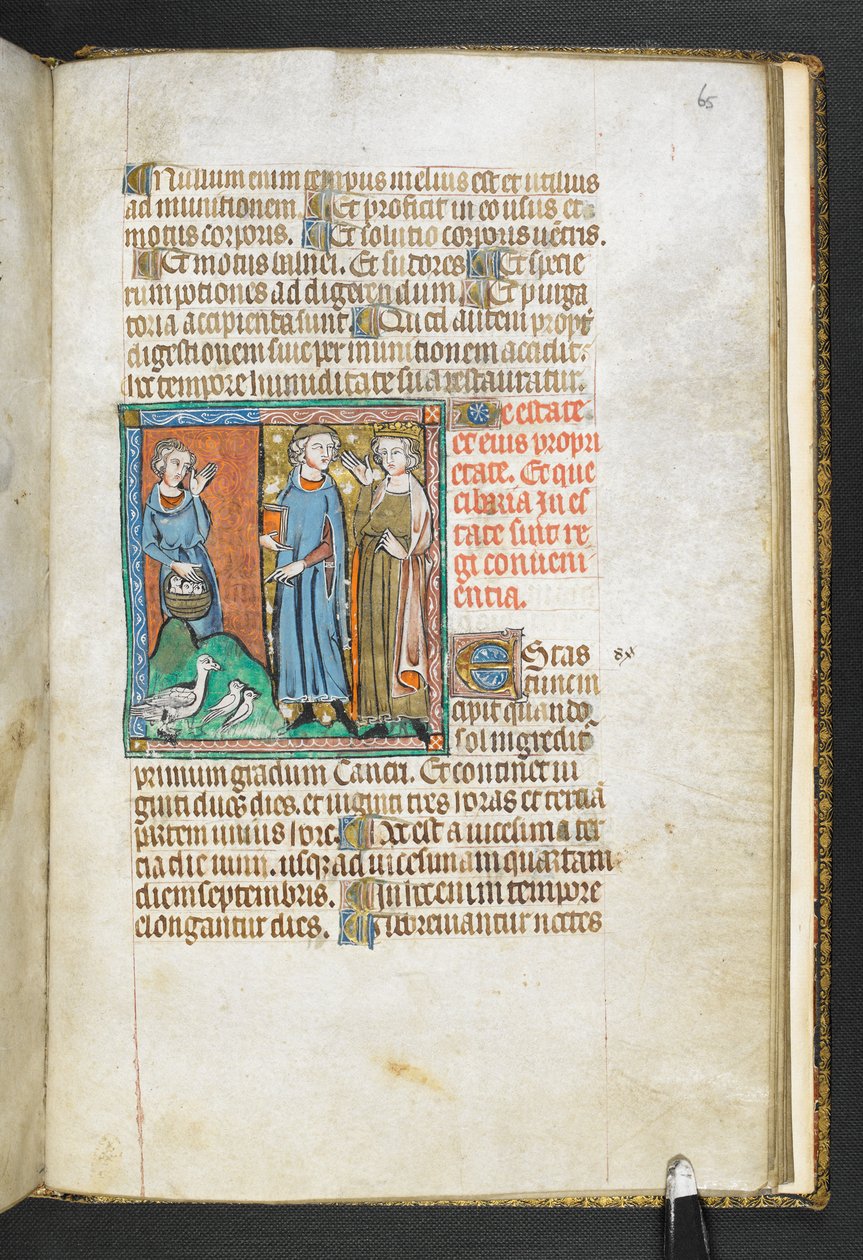 添加 MS 47680，f.65r 亚里士多德指着带给国王的鸟，出自 Secretum Secretorum，约 1326-27 年（牛皮纸）。 作者 英语学校