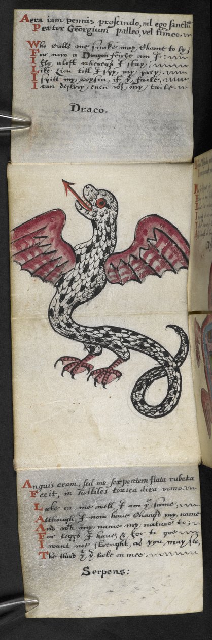 添加 MS 57312 f.3 Game-book（牛皮纸上的墨水和颜色） 作者 英语学校