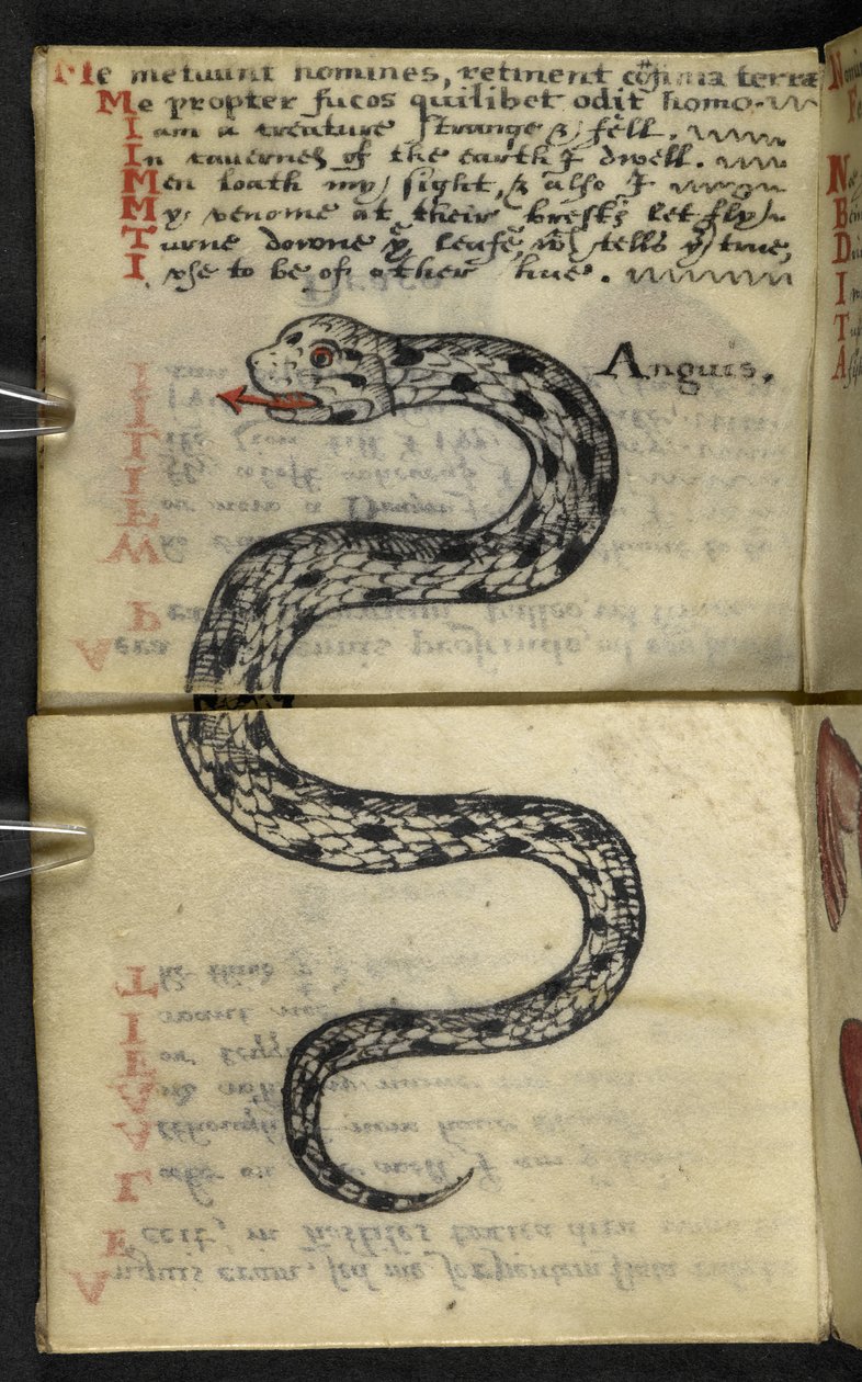 添加 MS 57312 f.4 Game-book（牛皮纸上的墨水和颜色） 作者 英语学校
