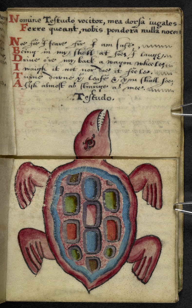 添加 MS 57312 f.5 Game-book（牛皮纸上的墨水和颜色） 作者 英语学校