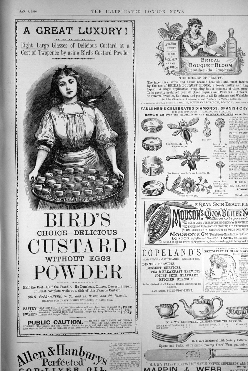 1882年9月1日，来自伦敦新闻画报的Birds Custard Powder广告 作者 英语学校
