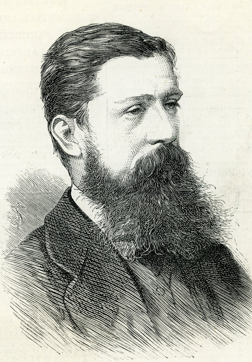 Alfred Pizzey Newton（1830-83）来自1883年的伦敦画报 作者 英语学校