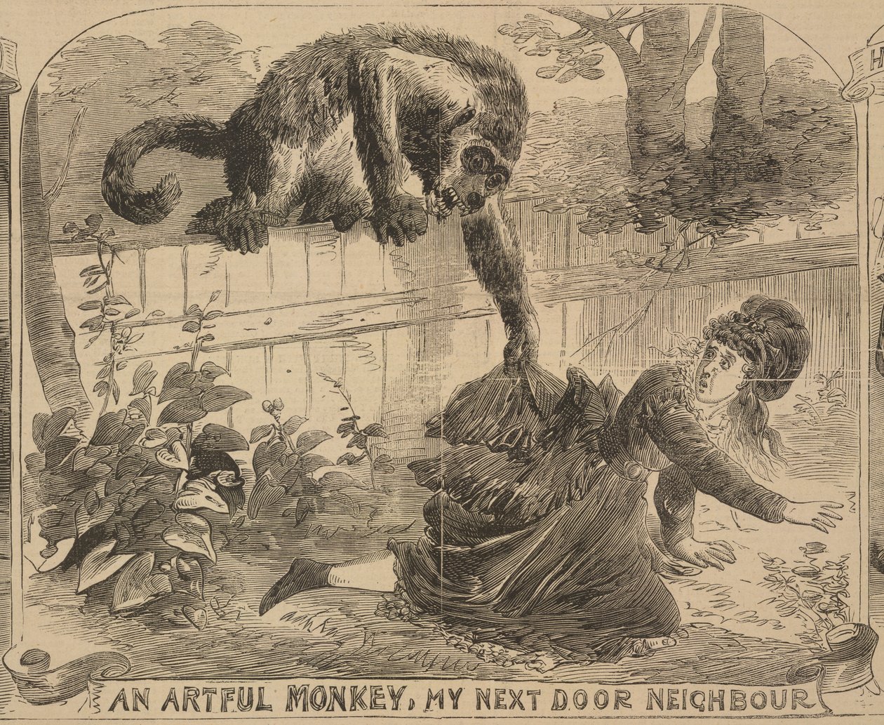 一只狡猾的猴子，我的隔壁邻居》，插图选自 1872 年 8 月 24 日的《警察新闻画报》（平版）。 作者 英语学校