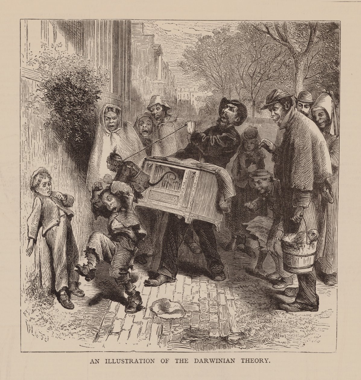 达尔文理论图解（雕刻） 作者 英语学校