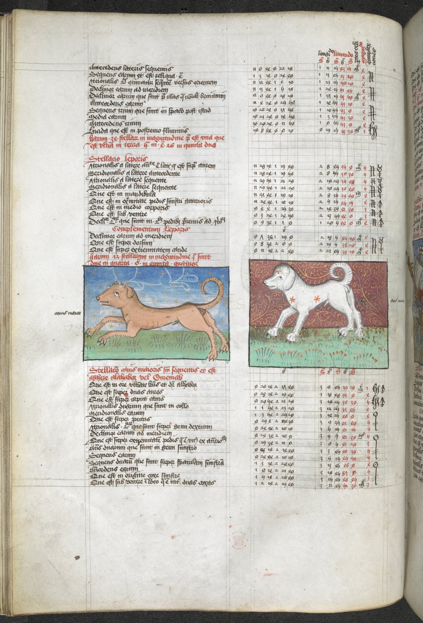 Arundel MS 66 f.44v Canis maior 和 Canis minor 被描绘成狗，"摘自托勒密《天文学大成》的星表...... "占星汇编和政治预言 作者 英语学校