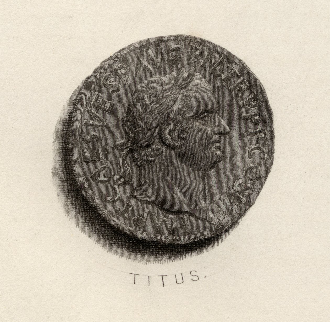 Aureus硬币，来自Titus Flavius Vespasianus时代 作者 英语学校