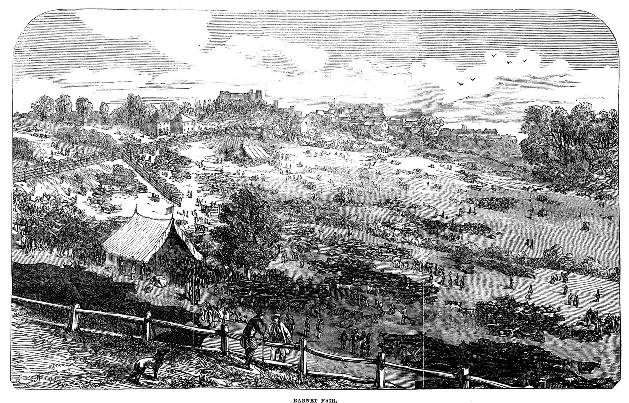 巴尼特博览会，1849年 作者 英语学校
