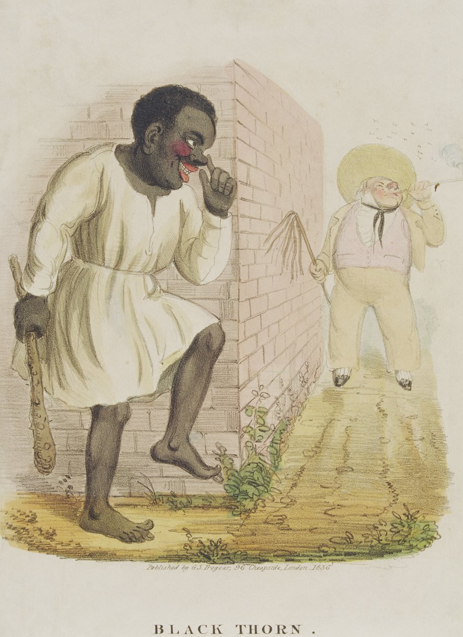 黑刺，1836年 作者 英语学校