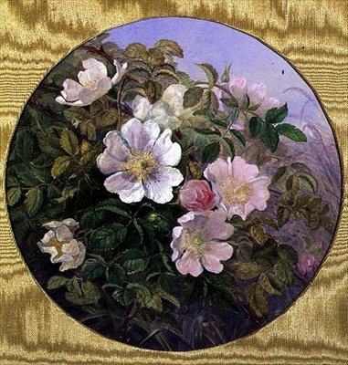 荆棘玫瑰，约1890年（纸上水彩）。 作者 英语学校