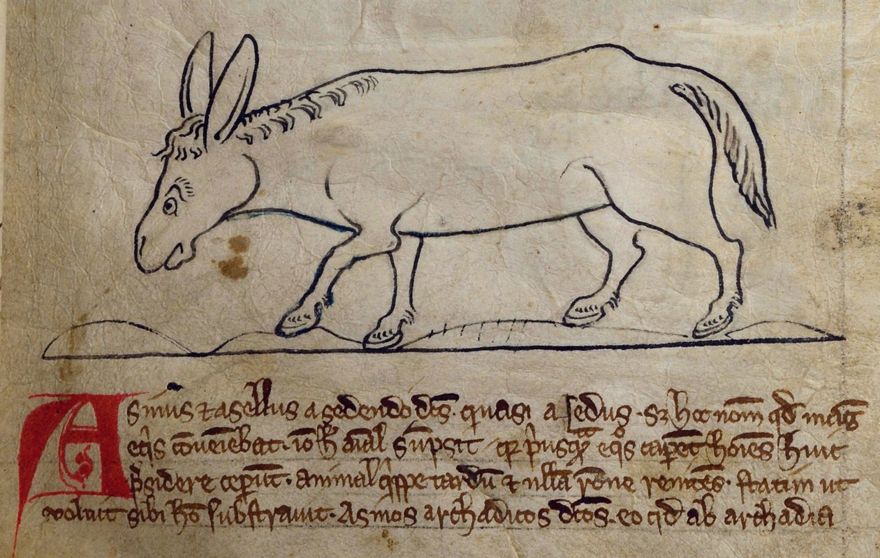 CCA-LitMs - D - 10 fol。 10r屁股，来自Bestiary 作者 英语学校