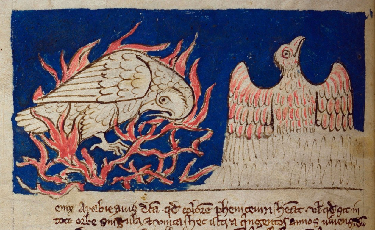 CCA-LitMs - D - 10 fol。 17v Pheonix，来自Bestiary 作者 英语学校