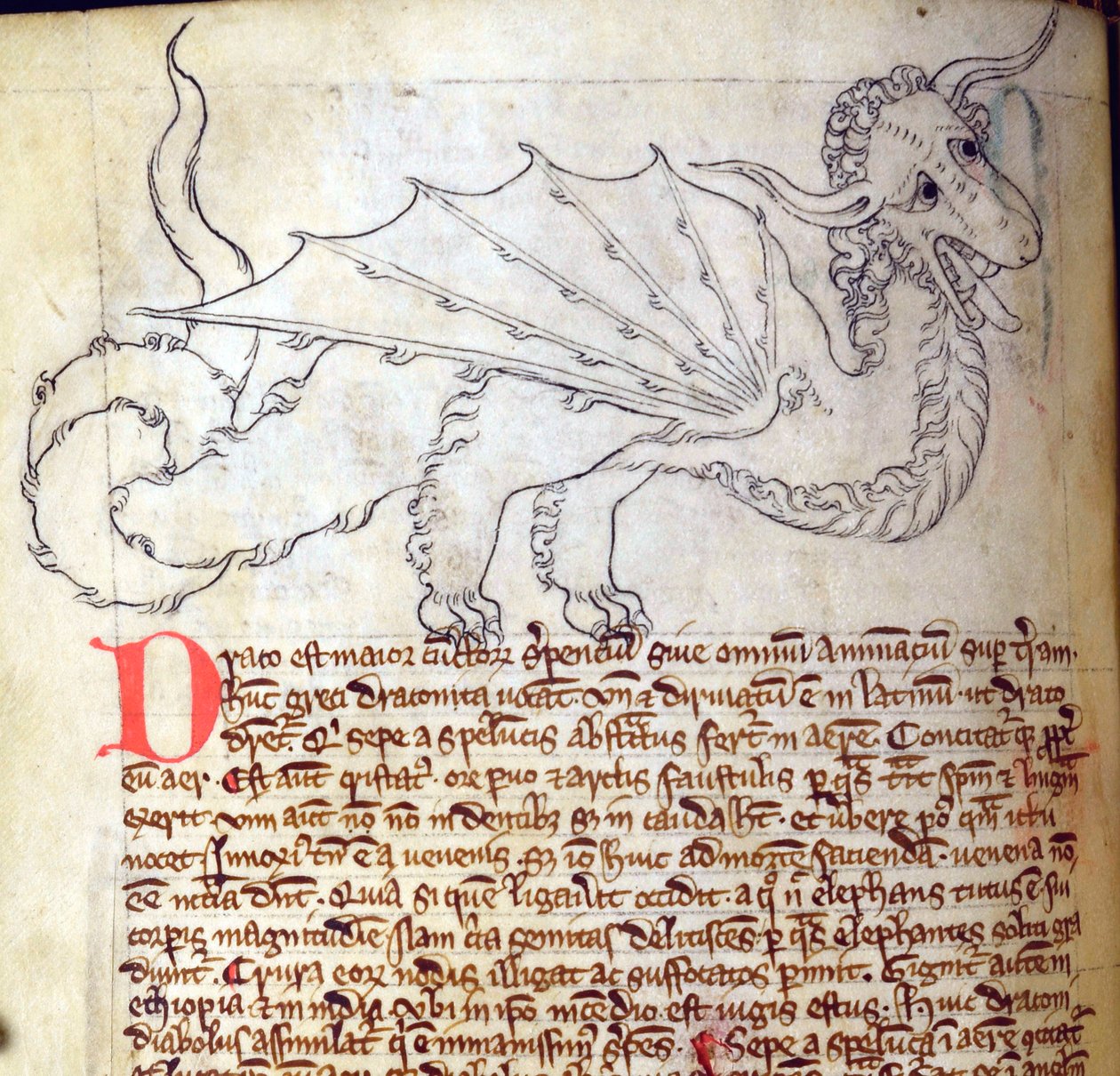 CCA-LitMs - D - 10 fol。 24v Dragon，来自Bestiary 作者 英语学校