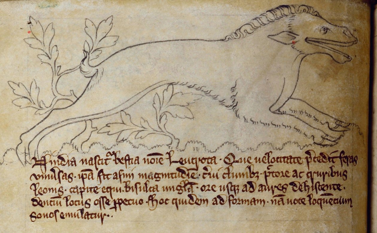 CCA-LitMs - D - 10 fol。 3v Leucrota，来自Bestiary 作者 英语学校