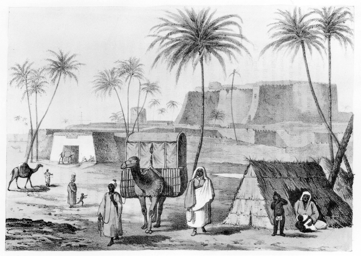 利比亚Fezzan的Morzouk骆驼垃圾，来自GF Lyon的北非旅行叙事，1821年出版 作者 英语学校