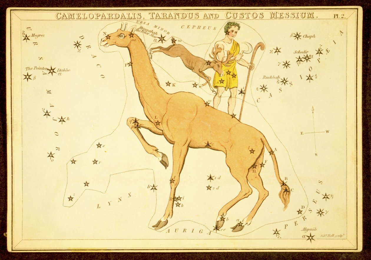 Camelopardalis、Tarandus 和 Custo Messium，酒吧。 1825（手工彩色雕刻） 作者 英语学校