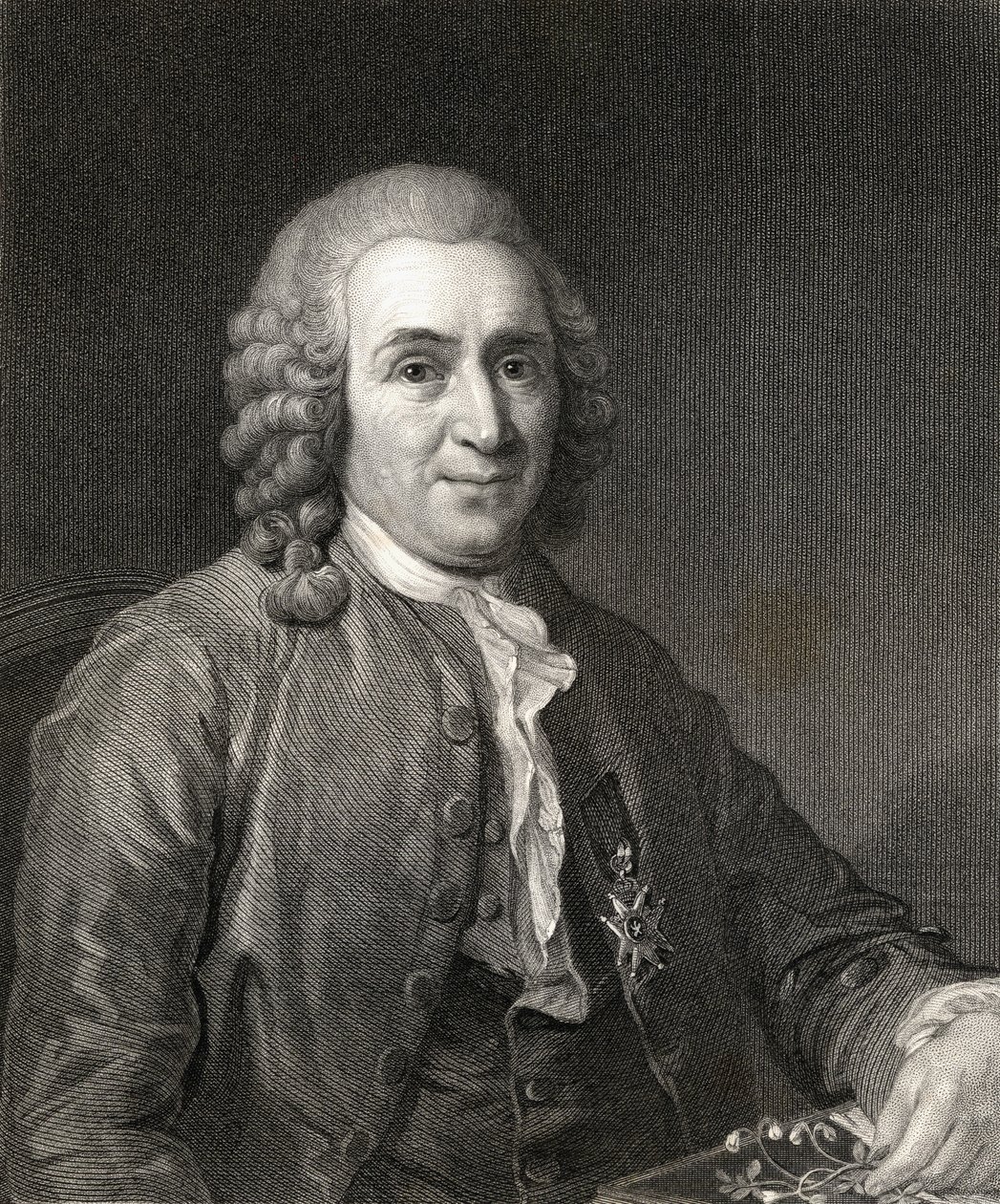 Carl von Linne或Linnaeus（1707-78）来自肖像画廊，出版于1833年 作者 英语学校