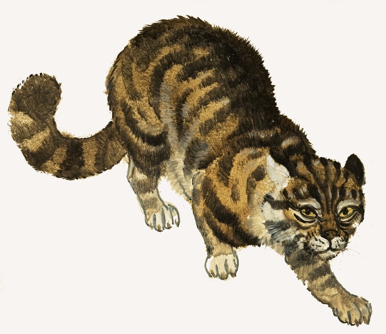 猫 作者 英语学校