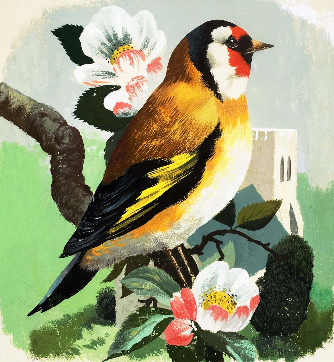 水粉画纸 作者 英语学校