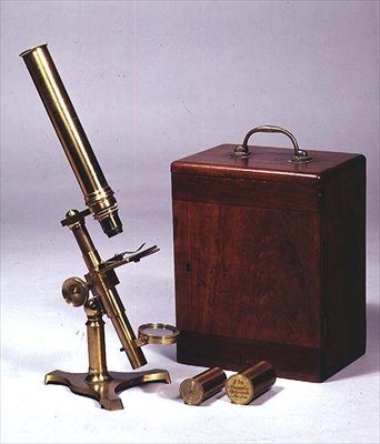 复眼单筒显微镜，由Amadio Optician，London，c.1860（黄铜和虫胶）制成 作者 英语学校