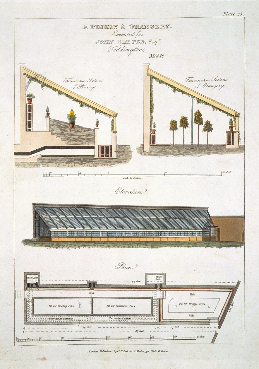 1806年在特丁顿设计松树和橘园 作者 英语学校