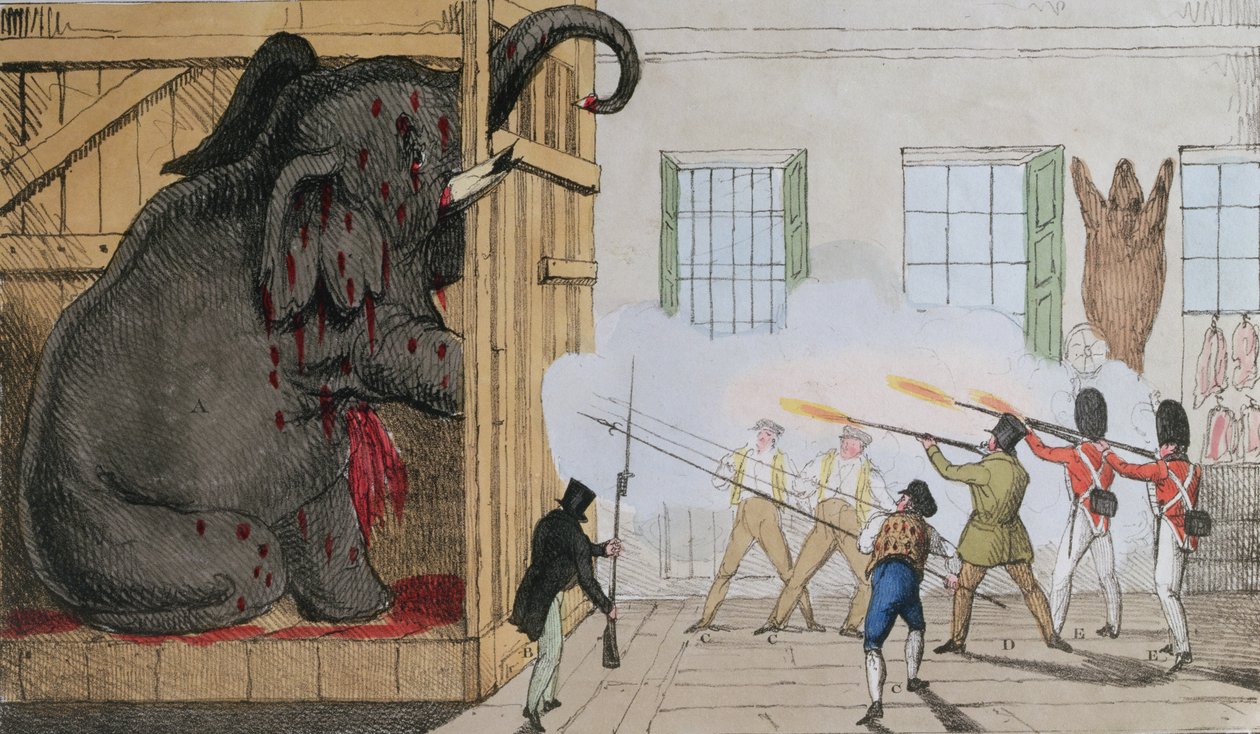 1826年克罗斯埃克塞特先生改变了高贵大象的毁灭 作者 英语学校