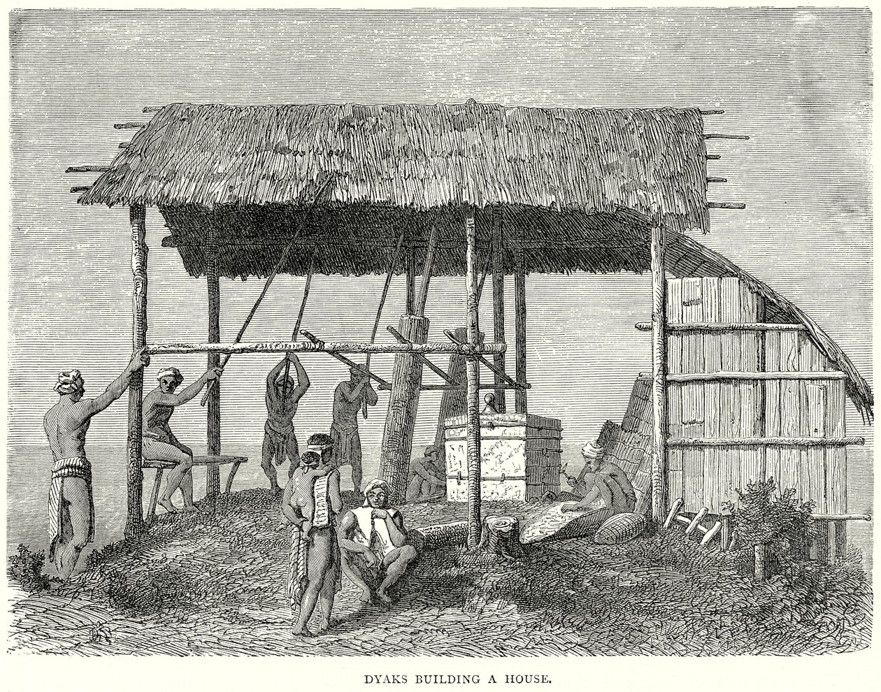 达雅克人建房子（雕刻） 作者 英语学校