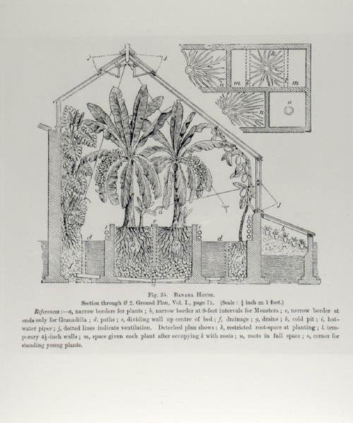 温室的立面，出自约翰-赖特的《水果种植者指南》，约1897-1905年出版（雕刻）（黑白照片）。 作者 英语学校